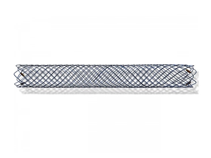 Metal Stent