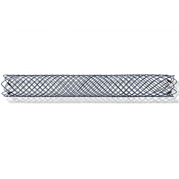 Metal Stent
